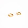 Go Dutch Earrings E5449-2
