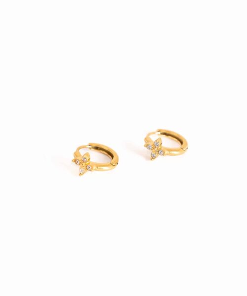 Go Dutch Earrings E5449-2