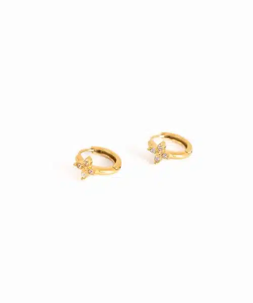 Go Dutch Earrings E5449-2