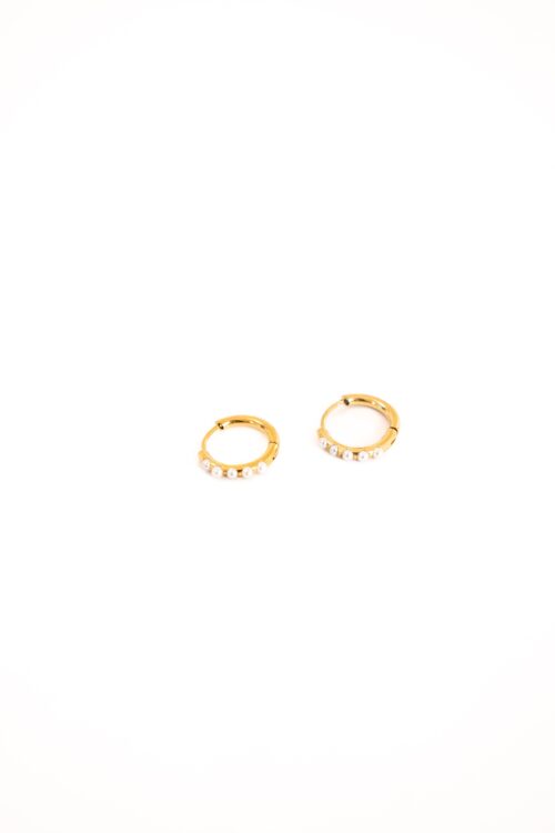 Day & Eve Earrings E56093-2