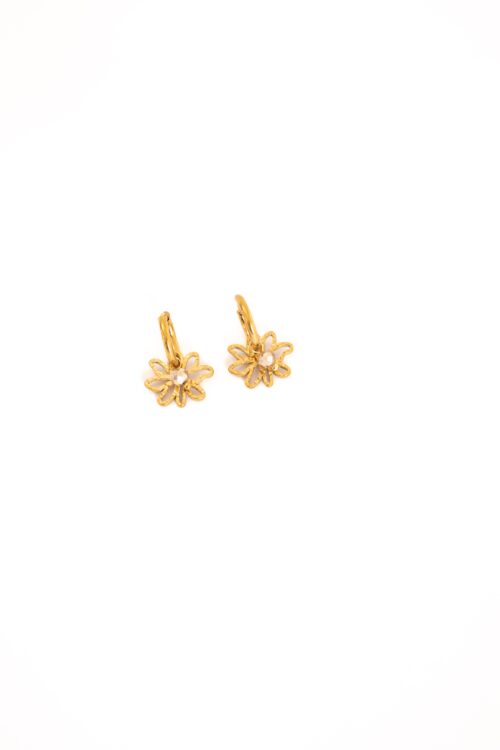 Day & Eve Earrings E56147-3