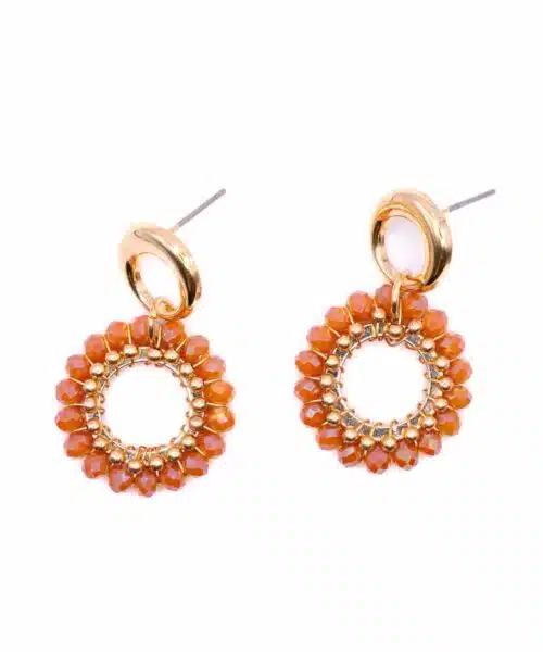 Day & Eve Earrings E60059-2