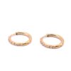 Go Dutch Earrings E4478-2