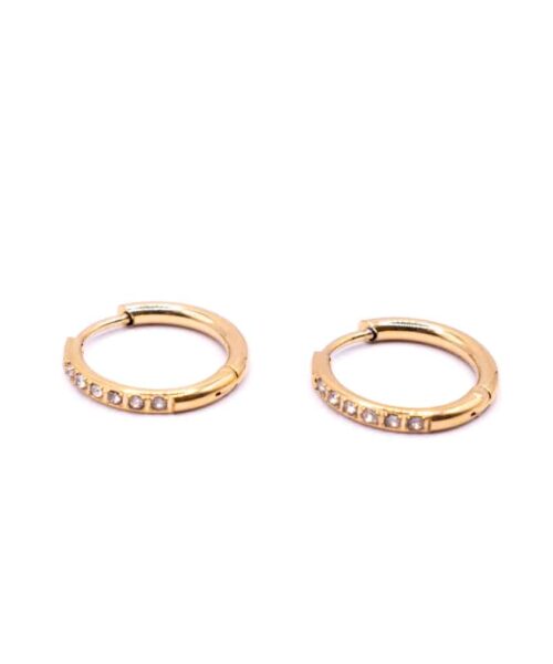 Go Dutch Earrings E4478-2