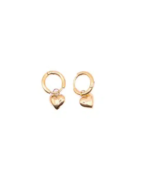 Go Dutch Earrings E1799-2