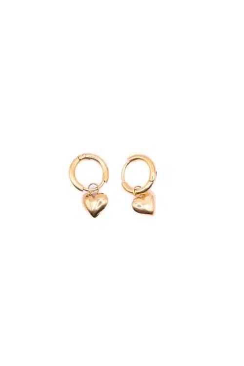 Go Dutch Earrings E1799-2