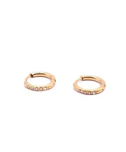 Go Dutch Earrings E4477-2