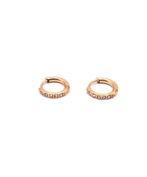 Go Dutch Earrings E4476-2