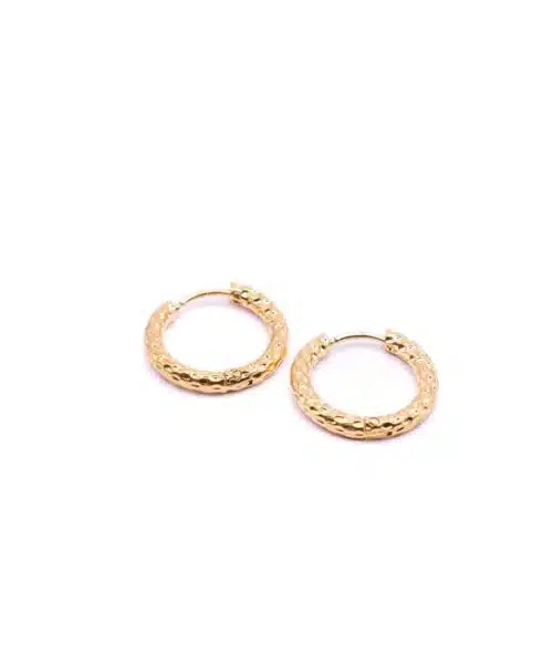 Go Dutch Earrings E2212-2