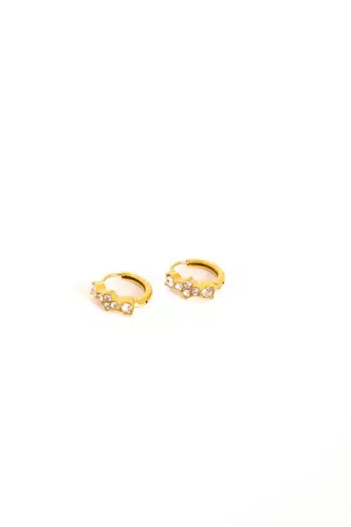 Day & Eve Earrings E56134-2