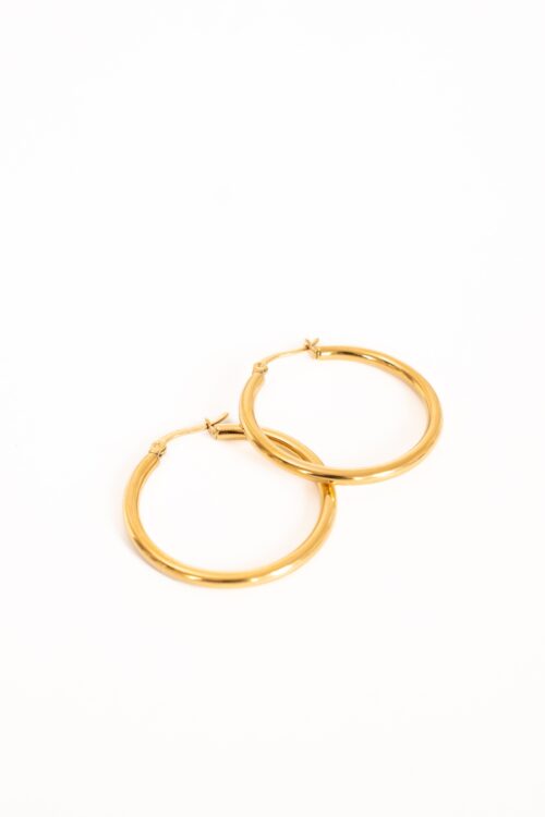 Day & Eve Earrings E1307-3-2