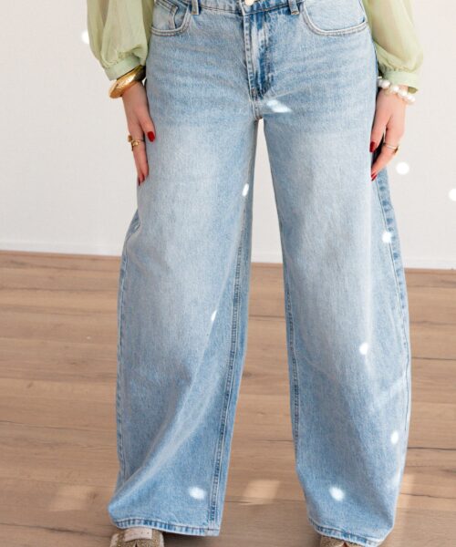 Esmee Baggy Ballon Jeans 6073-1