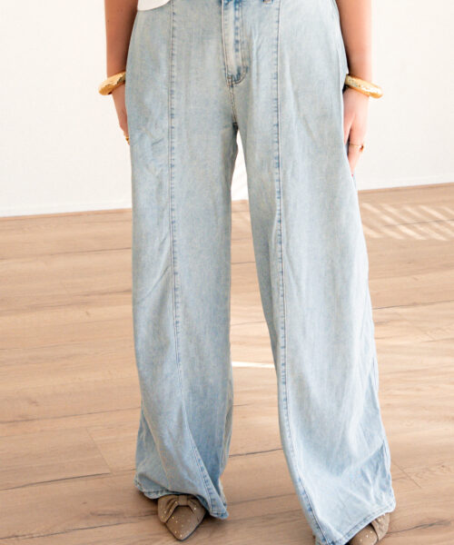 Sam Baggy Jeans T388