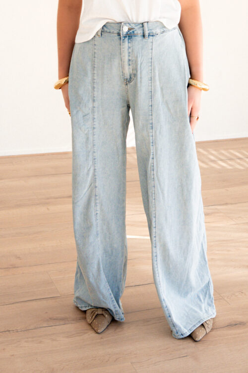 Sam Baggy Jeans T388