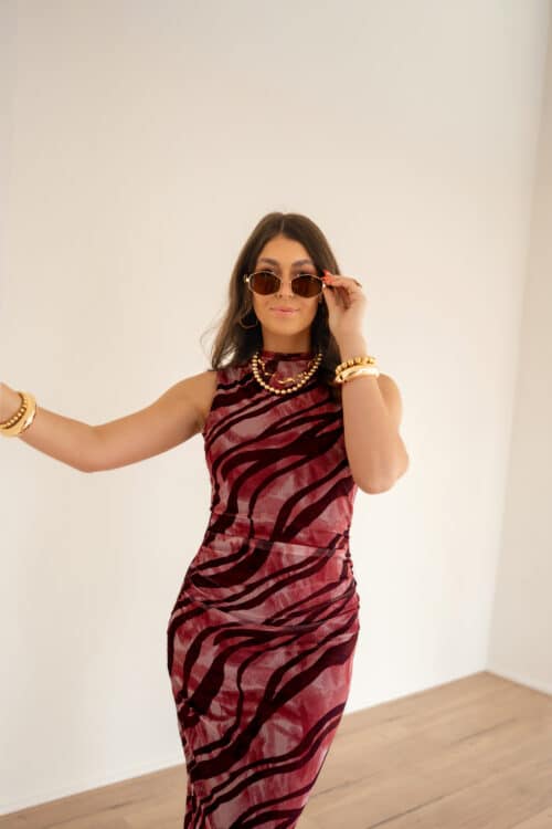 Alternative view of Bibi Dress Zebra Pink Bordeaux