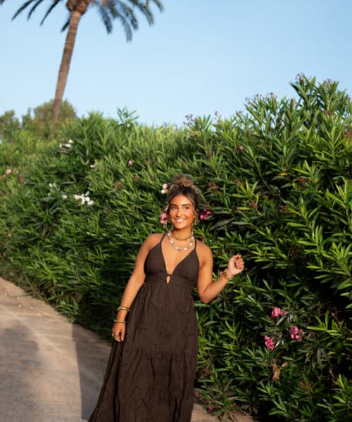 Nera Embroidery Dress Brown