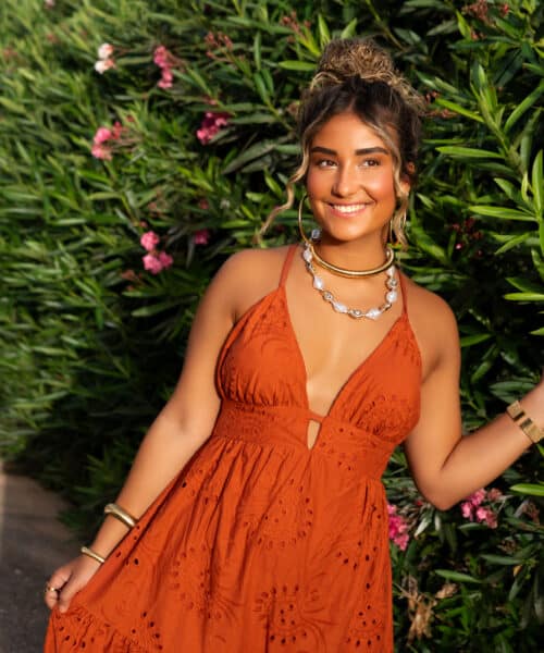 Nera Embroidery Dress Rust ^
