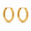 Day & Eve Earrings E55055-2