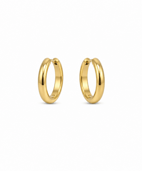 Day & Eve Earrings E61058-2