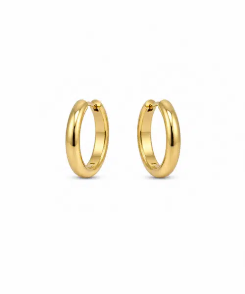 Day & Eve Earrings E61058-2