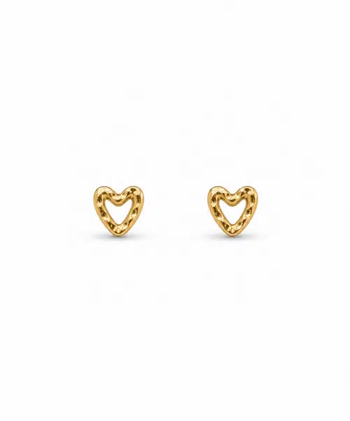 Day&Eve Earrings E61022-2